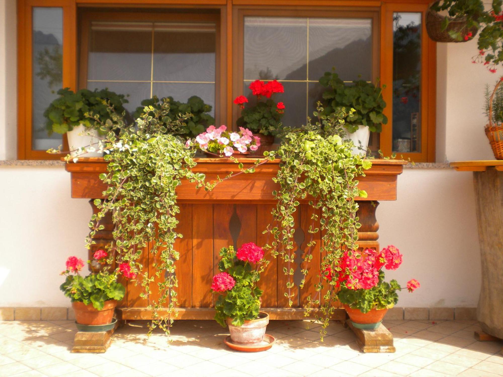 Affittacamere Krajnc Malborghetto Valbruna Exterior foto